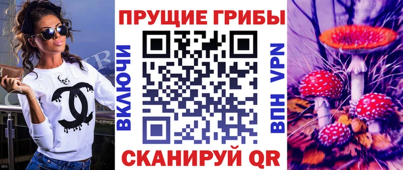 Псилоцибиновые грибы GOLDEN TEACHER Заполярный