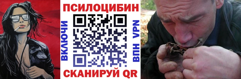 Псилоцибиновые грибы Psilocybe  продажа наркотиков  omg вход  Заполярный 